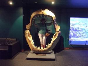 Inside the jaws of a prehistoric Megalodon