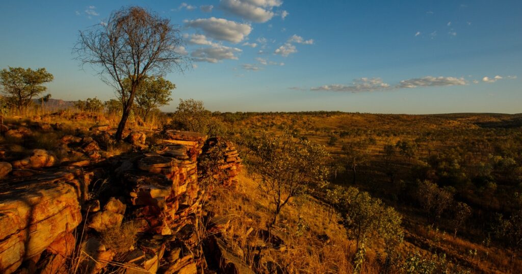 preserving the kimberley 1